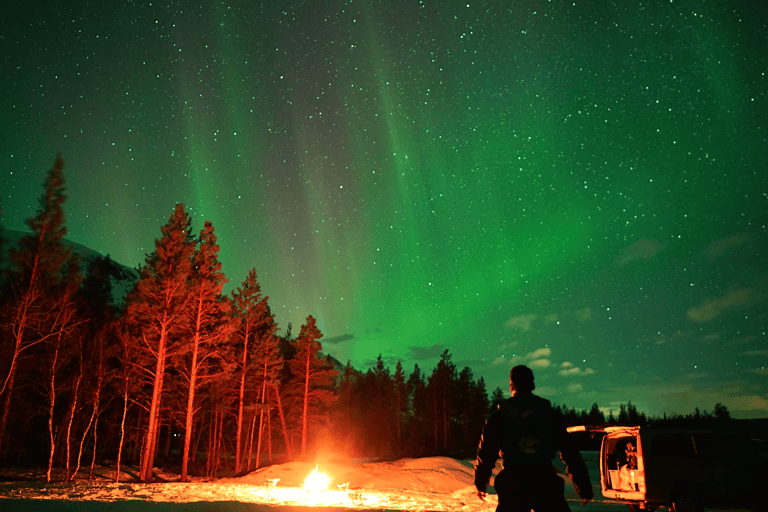 Tromsø: Small-Group Aurora Tour with Free Photos (8 Hours)