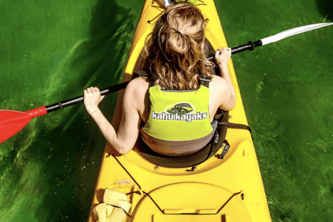 Abel Tasman: Family Kayak Tour to Split Apple Rock - Image 2