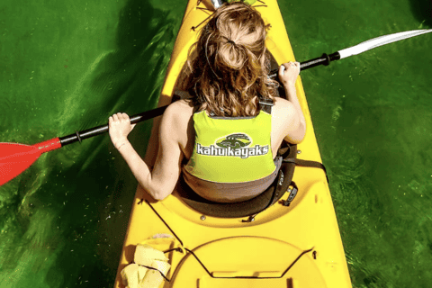 Abel Tasman: Family Kayak Tour to Split Apple Rock - Image 3