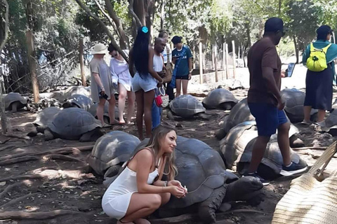 桑给巴尔：监狱岛私人观光（含观赏乌龟）桑给巴尔：监狱岛私人观光