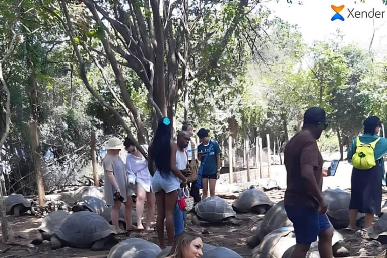 桑给巴尔：监狱岛私人观光（含观赏乌龟）桑给巴尔：监狱岛私人观光