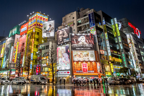 Tokyo: Tour guidato dall&#039;Ing di 2 giorni del Monte Fuji e della città di Tokyo