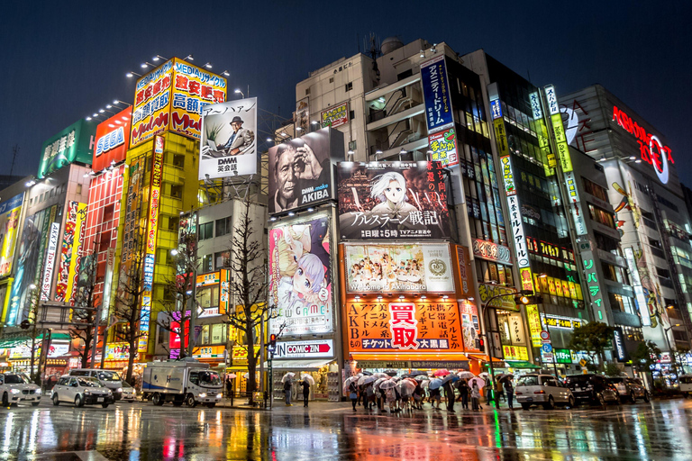 Tokyo: Tour guidato dall&#039;Ing di 2 giorni del Monte Fuji e della città di Tokyo