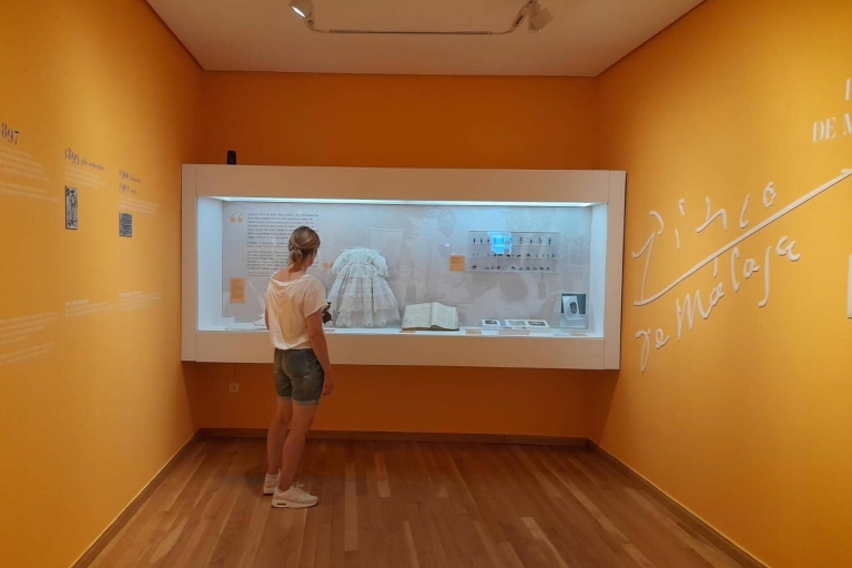 Picasso birthplace museum ticket + Malaga mobile-app tour