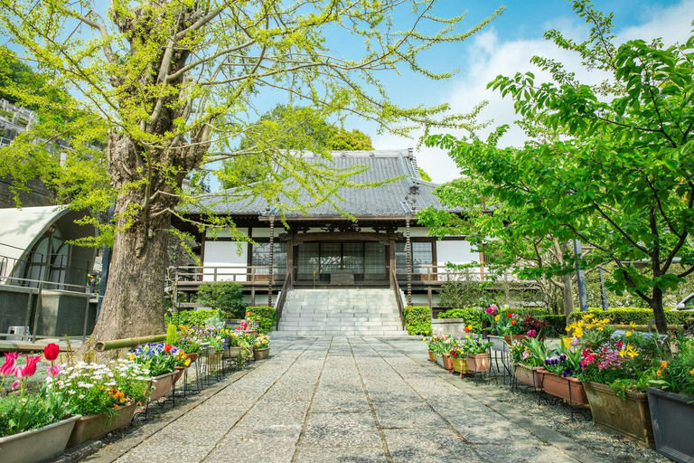 Visiting the former territory of William Adams in Miura