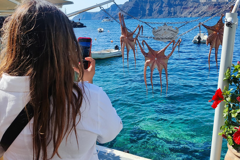 Santorini: Tour panoramico privato con guida localeTour privato di 5 ore