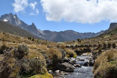 Nairobi: Mount Kenya Day Hike with Lunch