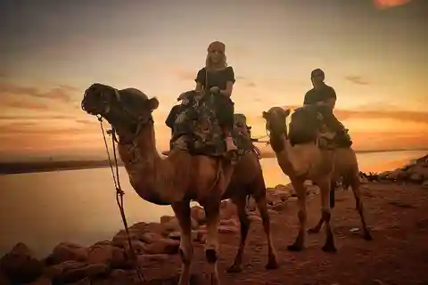 Paseo en camello al atardecer con cena barbacoa y traslados al hotel