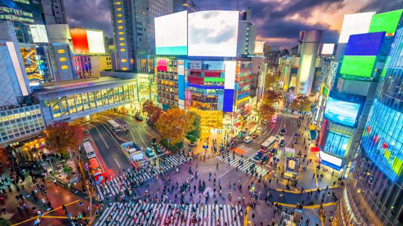Shibuya & Harajuku exploring Hidden Gems & Highlights tour