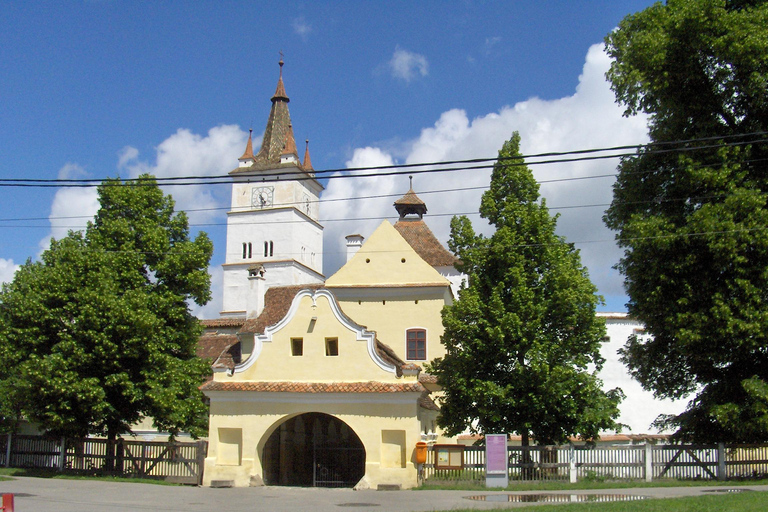 Brasov: Saxon Fortified Churches Day Tour with Guide