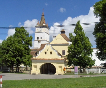 Brasov: Saxon Fortified Churches Day Tour with Guide