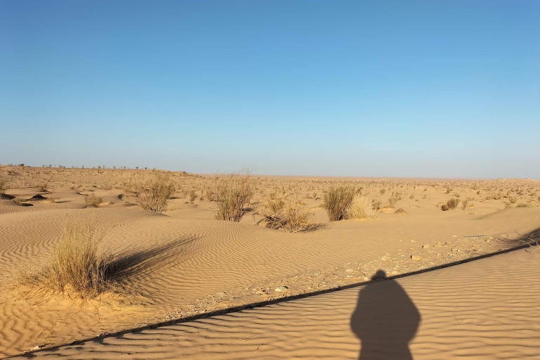 Eine Übernachtung in der Sahara (Privat)