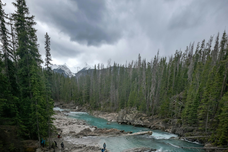 Banff & Yoho: Moraine, Louise, Emerald Lake, Canyon & Falls
