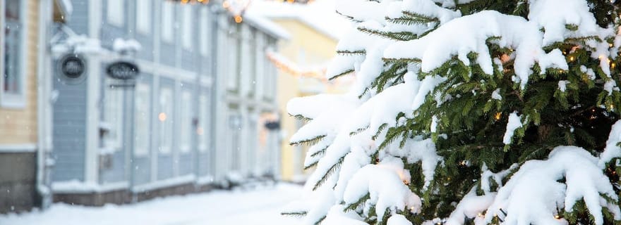 Visite privative de la magie et des traditions de Noël à Porvoo
