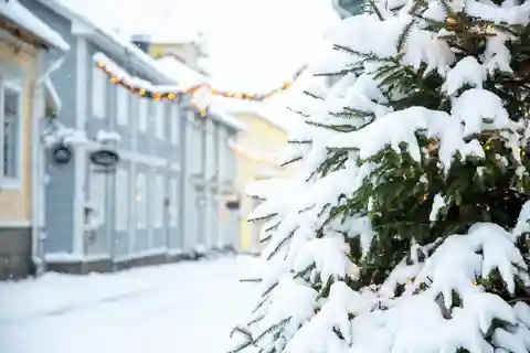 Visita à magia e às tradições de Natal de Porvoo