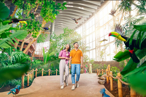 Dubai: Sheikh Zayed-moskee &amp; SeaWorld-toegang met transferDubai: Sheikh Zayed-moskee en SeaWorld, inclusief vervoer