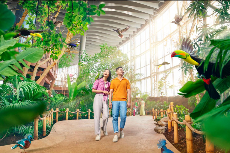 Dubai: Sheikh Zayed-moskee &amp; SeaWorld-toegang met transferDubai: Sheikh Zayed-moskee en SeaWorld, inclusief vervoer