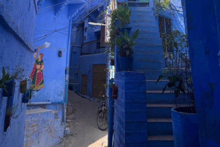 Visite du fort Mehrangarh et de la ville bleue avec un guide professionnel