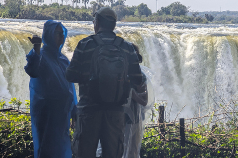 Victoria Falls: Historic Town Tour, Big Tree & Guided Walk