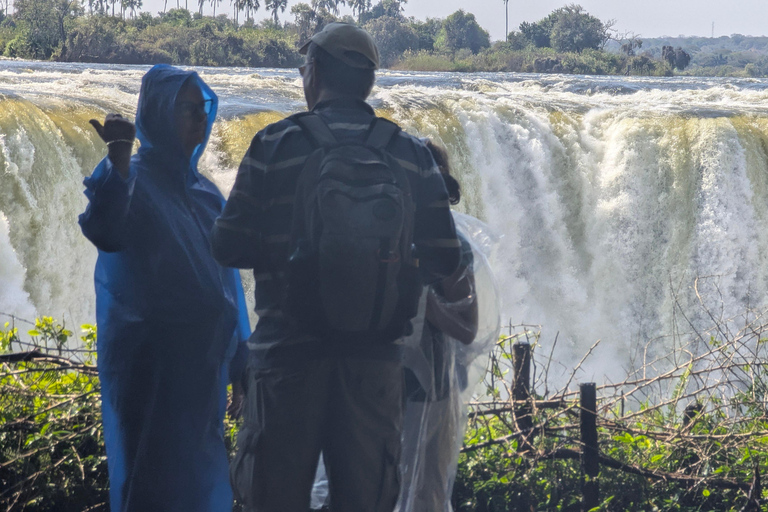 Victoria Falls: Historic Town Tour, Big Tree & Guided Walk