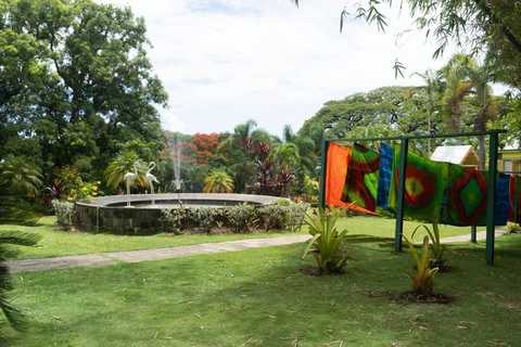 Tour de medio día por las plantaciones de Basseterre