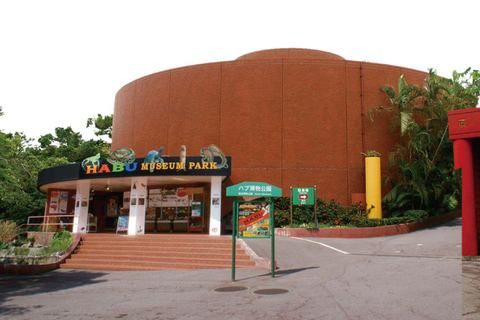 那霸：冲绳南部，风光旖旎，采摘乐趣，烧烤午餐那霸：冲绳南部，观景，采摘水果，烧烤午餐