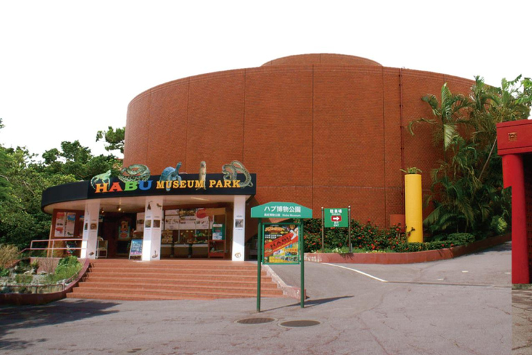 那霸：冲绳南部，风光旖旎，采摘乐趣，烧烤午餐那霸：冲绳南部，观景，采摘水果，烧烤午餐