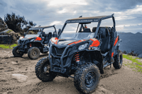Can-Am Experience - Housity