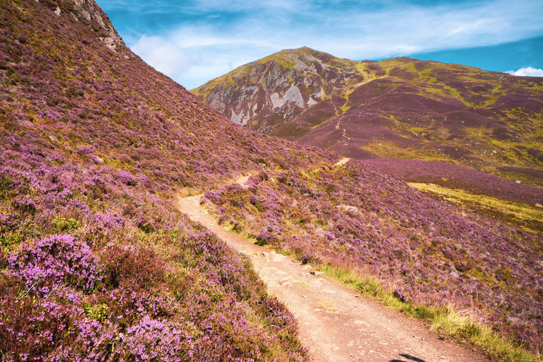 Edinburgh: Scottish Highlands & Glencoe Day Tour St Andrews