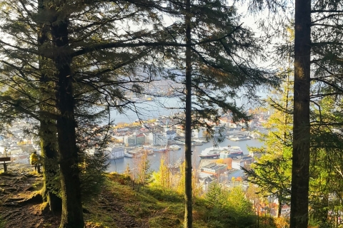 Bergen: Bergwanderung auf dem Gipfel von Bergen - Öffentliche Tour