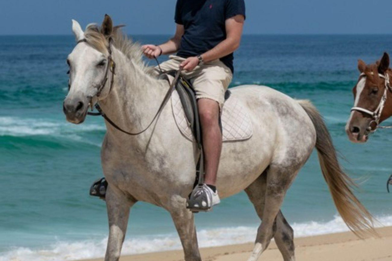 Melides: Ridning på Melides Beach