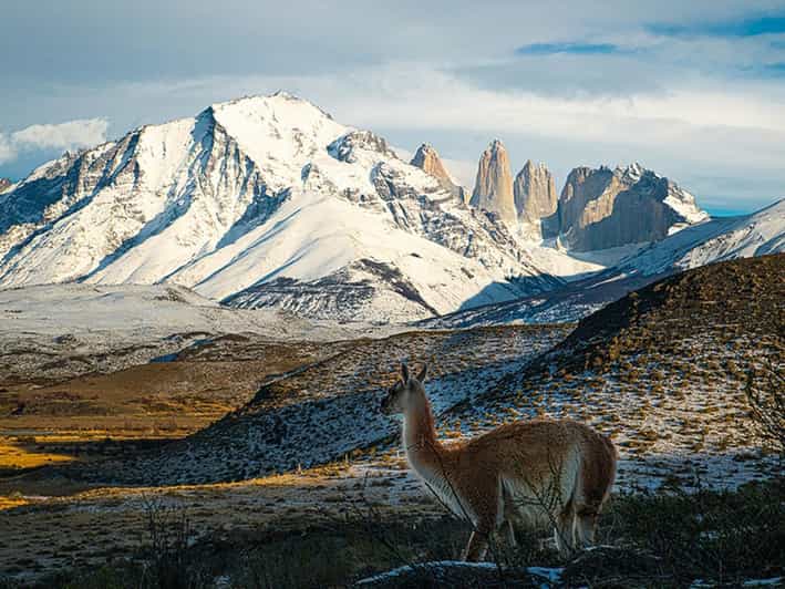 Galería de fotos para redes