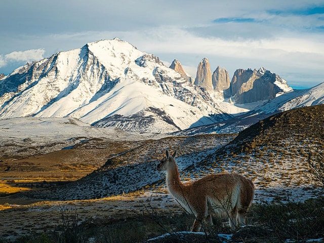 Puerto Natales: Full-Day Torres del Paine Tour