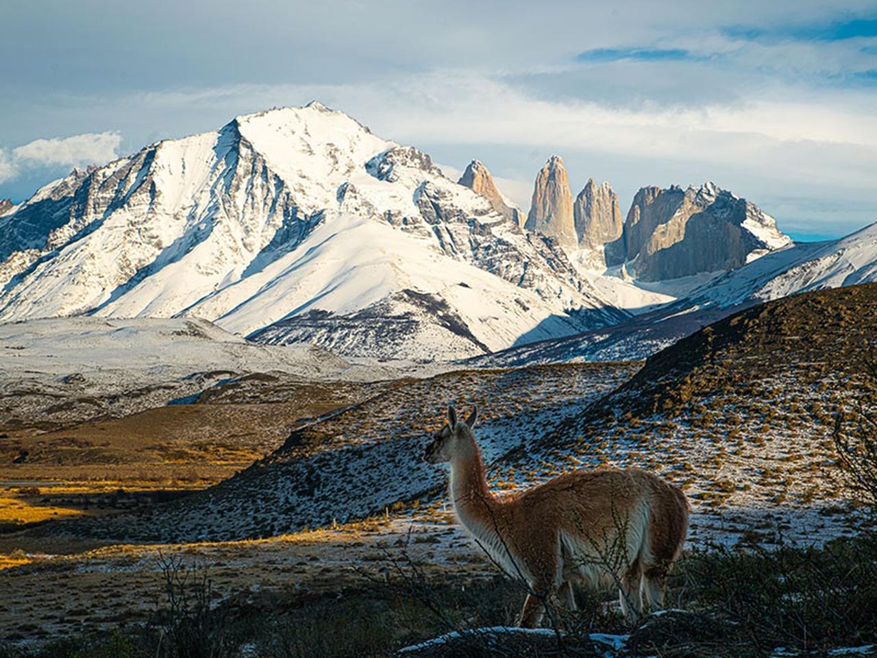 Puerto Natales: Ganztagestour Torres del Paine