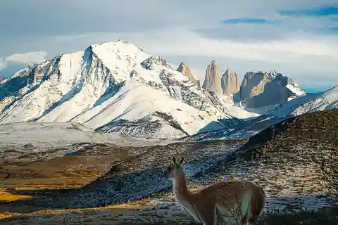 Puerto Natales: Full-Day Torres del Paine Tour