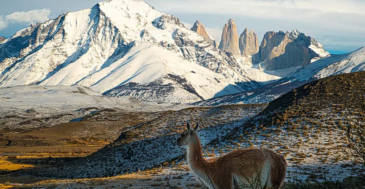 Galería de fotos para redes