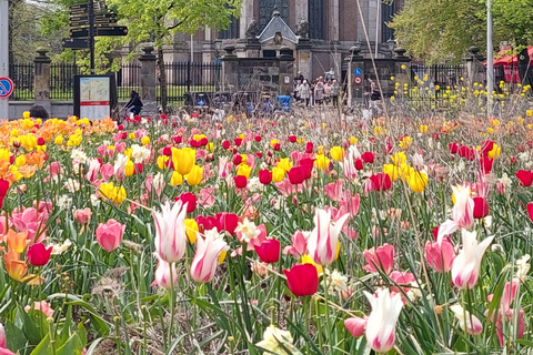 Historical Tour of The Hague