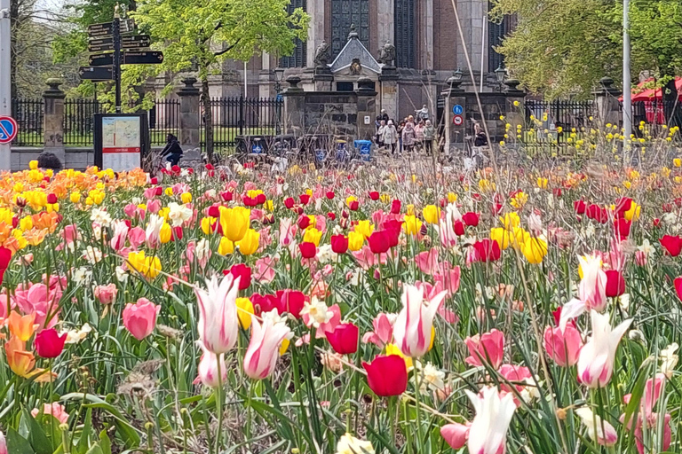 Historical Tour of The Hague