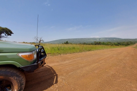 Safari dans le parc national de l'Akagera : Une journée de merveilles fauniques
