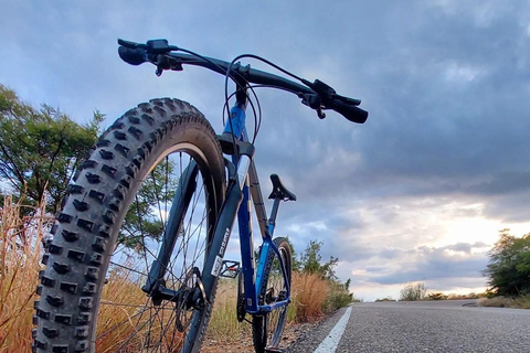 Monte Alban. Bike Tour. Archaeology, Alebrijes, and History.