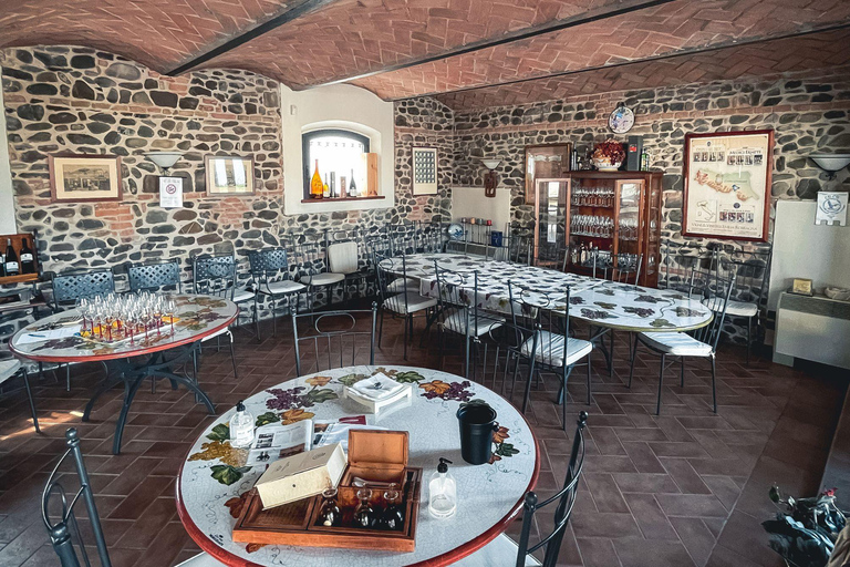 Balsamic Vinegar, Wine Tasting & Tour near Parma & Reggio Balsamic Vinegar & Wine Tasting in Reggio Emilia - Italiano