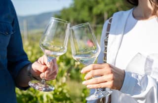 Weinprobe - Die Seele des Verdicchio di Matelica