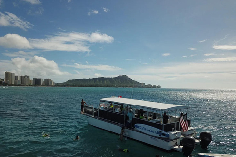 Honolulu: Group Snorkel Cruise with Marine Life Spotting