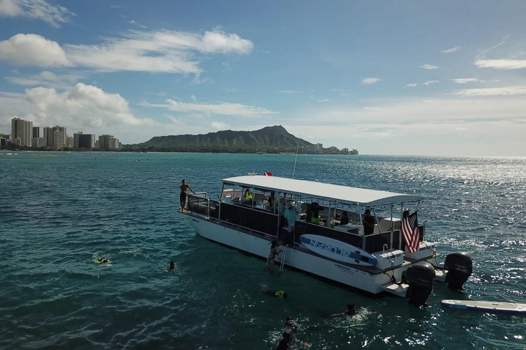 Honolulu: Group Snorkel Cruise with Marine Life Spotting