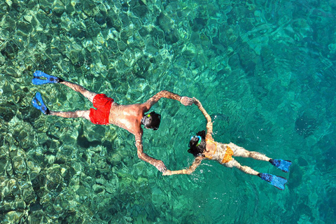 Zanzibar: Dolphin Swim & Snorkeling Guided Tour