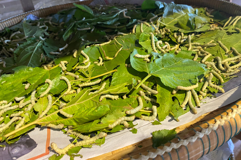 Siem Reap: Silk Farm & Killing Fields TukTuk Tour
