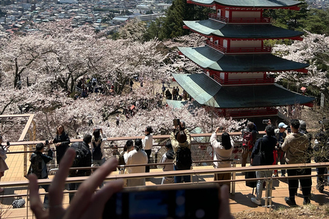 Mt. Fuji & Hakone Private Tour T/F Tokyo, Yokohama up to 12 From Yokohama to Tokyo up to 10