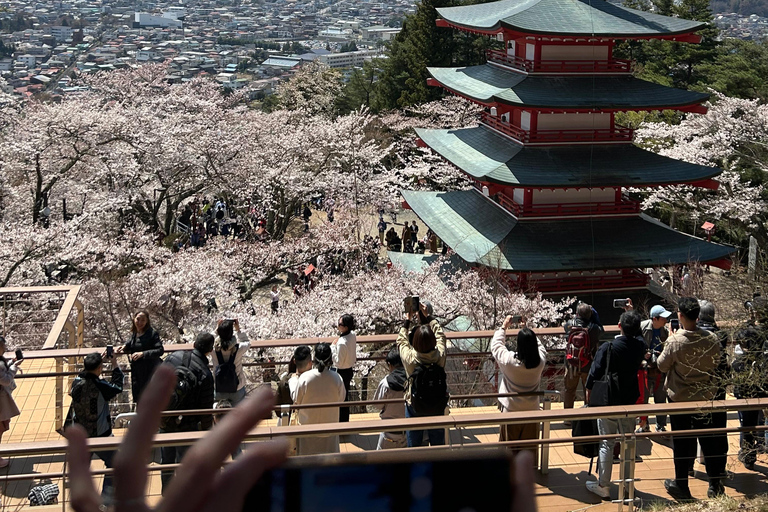 Mt. Fuji & Hakone Private Tour T/F Tokyo, Yokohama up to 12 From Yokohama to Tokyo up to 10