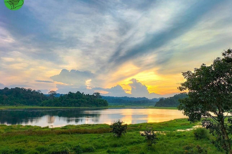 From Ho Chi Minh City: 2-Day Cat Tien National Park Tour