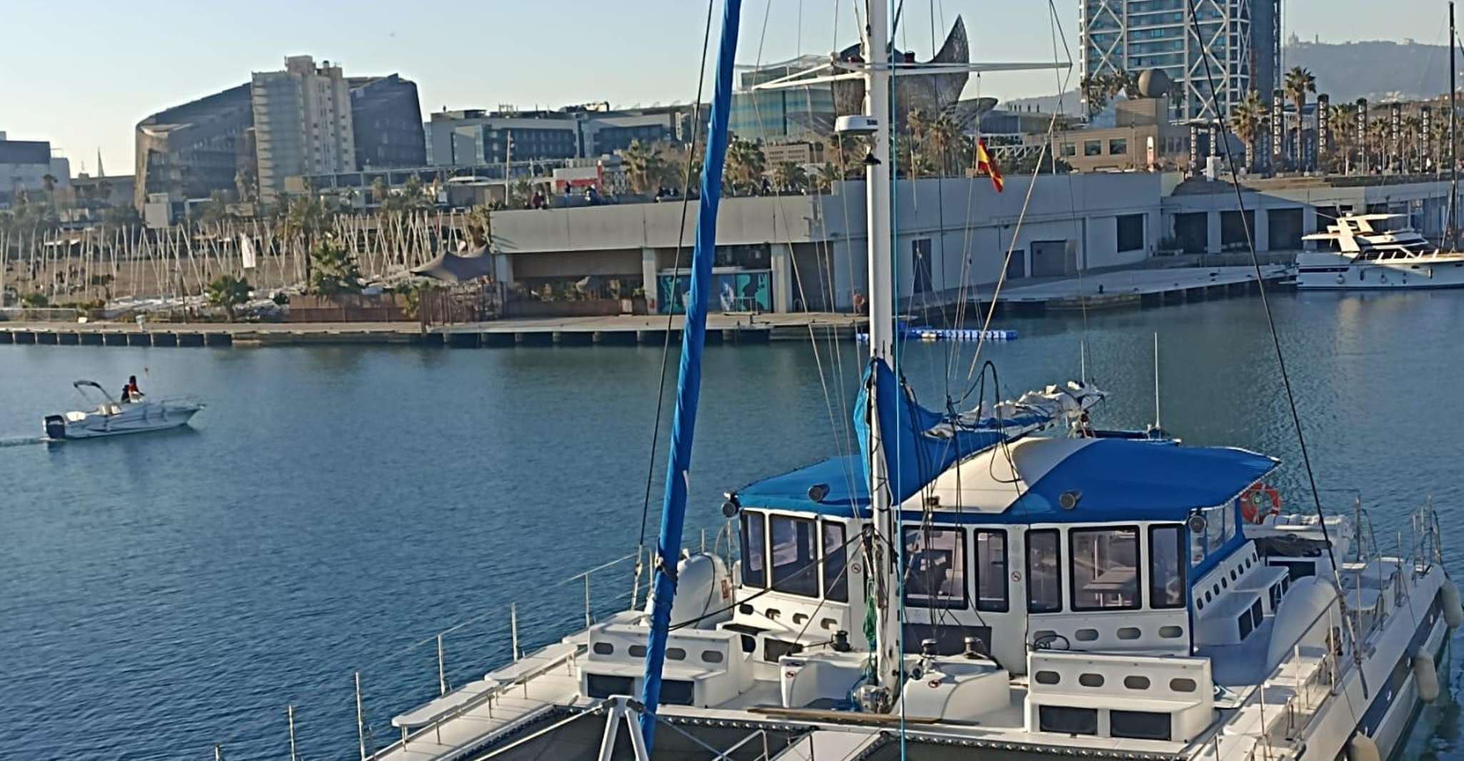 Barcelona: Daytime or Sunset Cruise with Drinks photo 6